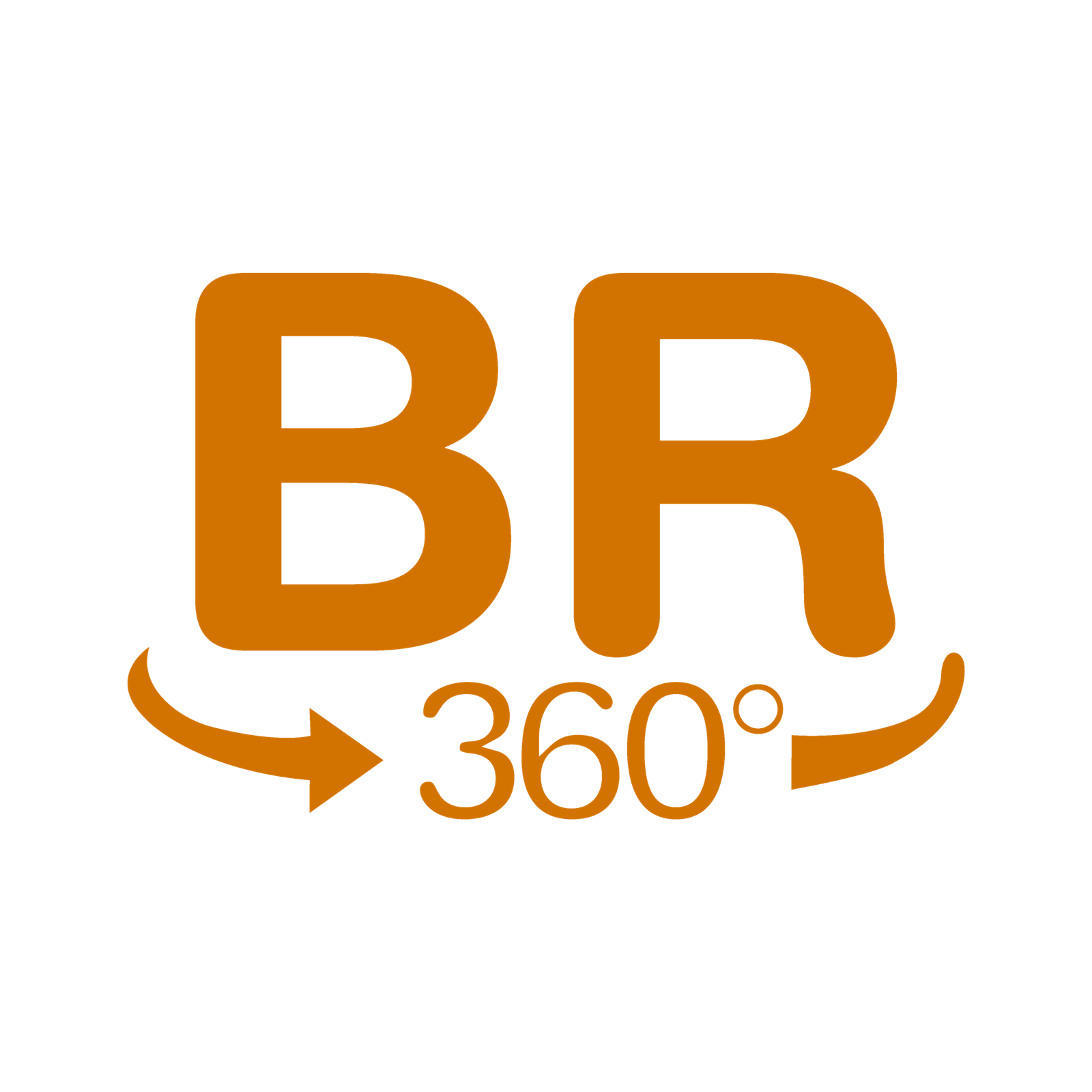 BIENES RAICES - LOGO_Mesa de trabajo 1-05